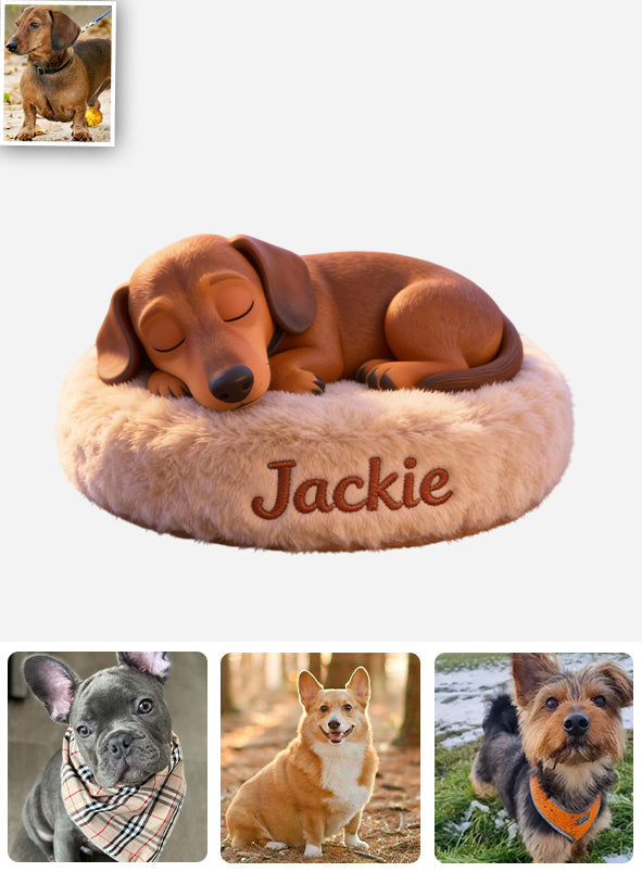 Friedlich schlafender Hund – Personalisierte Auto-Armaturenbrettplakette mit Hundemotiv