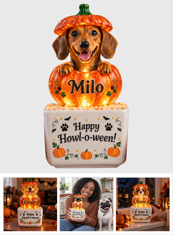 Niedliche Halloween-Dekoration für Haustiere - Personalisierte Hund LED Licht Keramiktopf