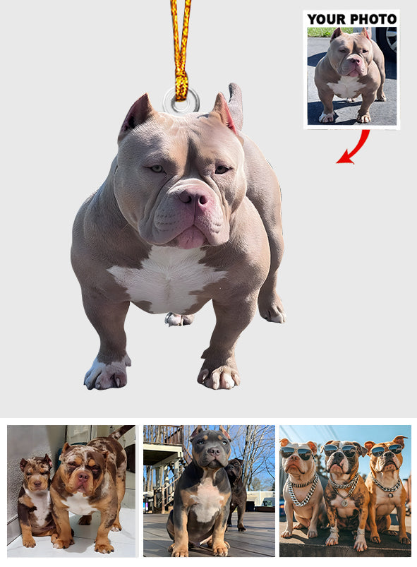 Beliebiger Foto-Anhänger – Personalisierter Hunde-Anhänger in individueller Form