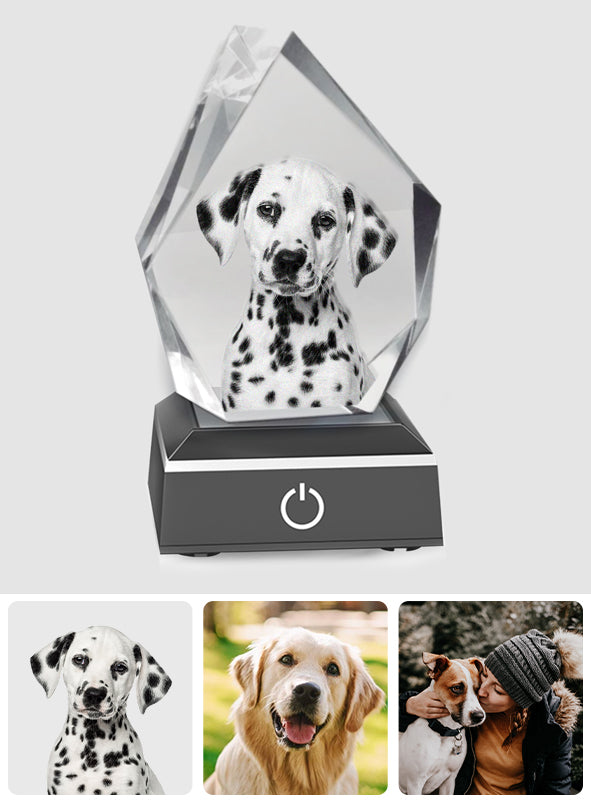 Individuelles Foto – Personalisierte Hunde-Lasergravur, 3D-Eisberg-förmige Kristalllampe