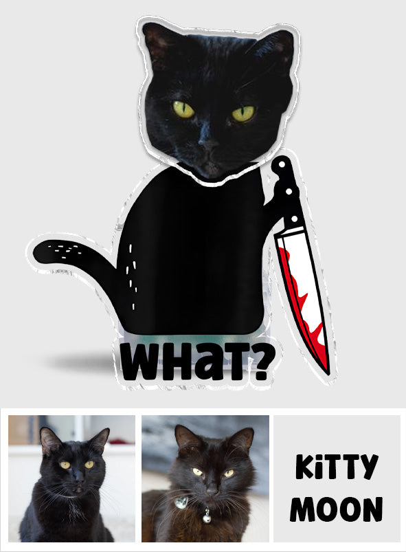 Coole schwarze Katze – Geschenkidee für Katzenliebhaber – Personalisierter Wackelkopf