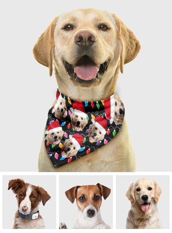 Beliebiges Foto hochladen Bunte Weihnachtsbeleuchtung - Personalisiertes Hundehalstuch