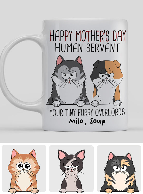 Human Servant Cute Cat Tiny Furry Overlord - Personalized Cat Mug