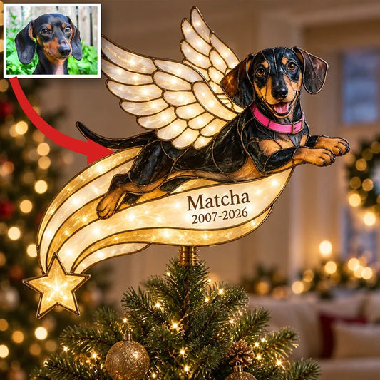 Personalized Dog Memorial Illuminated Christmas Tree Topper
