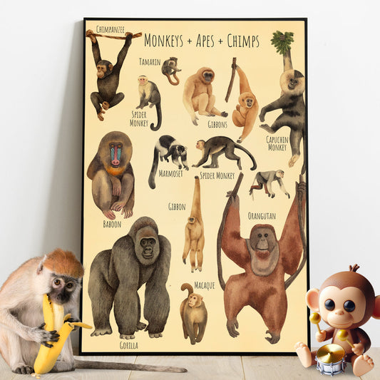 A Beautiful Selection - Canvas And Poster