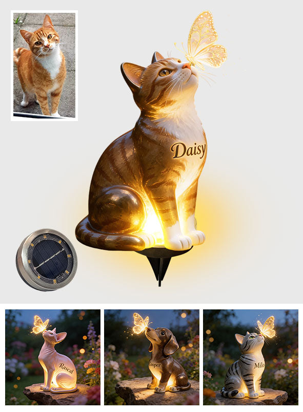 Katze und Schmetterling - Personalisierte Solar-Acrylleuchte