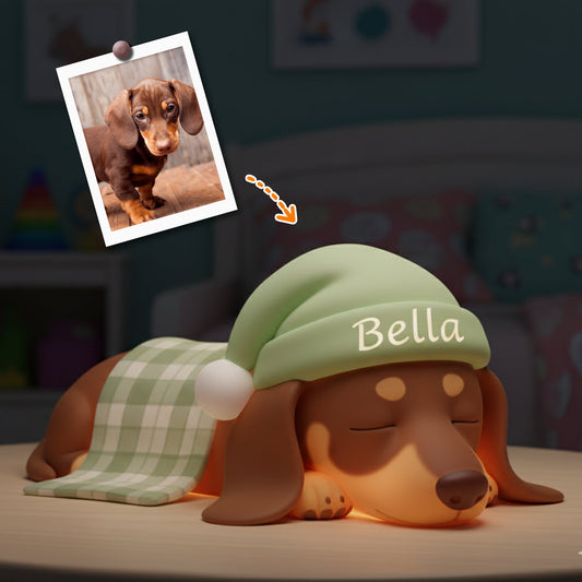 Custom From Any Photos - Personalized Dog Acrylic LED Night Light