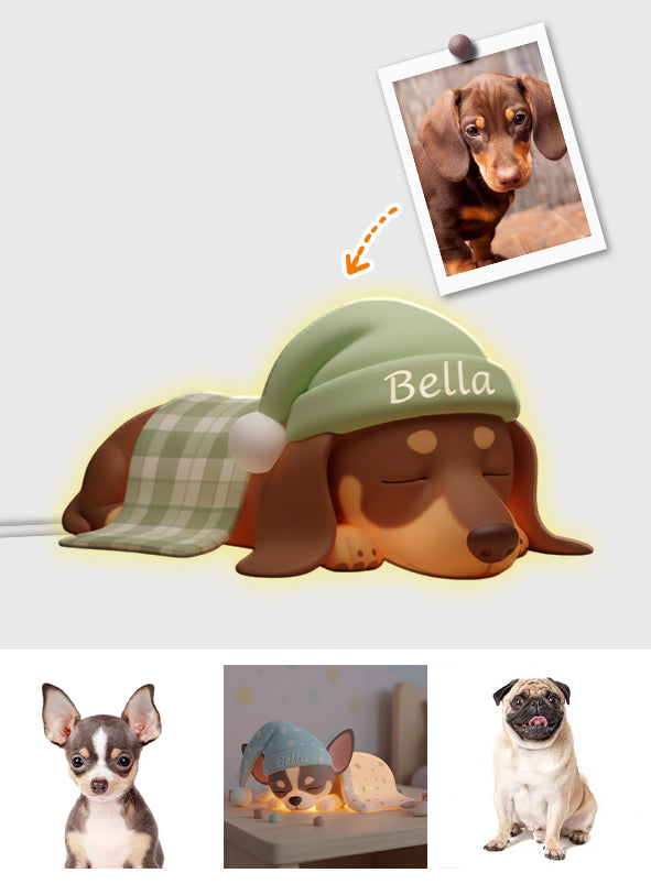 Individuell gestaltbar nach Ihren Fotos – Personalisierte LED-Nachtleuchte für Hunde aus Acryl