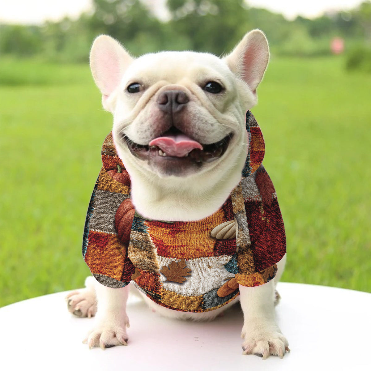 Es ist soweit – Personalisierter Hunde-Hoodie