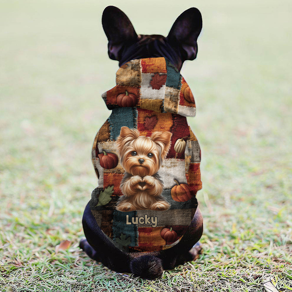 Es ist soweit – Personalisierter Hunde-Hoodie