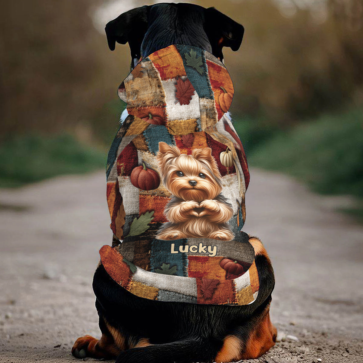 Es ist soweit – Personalisierter Hunde-Hoodie