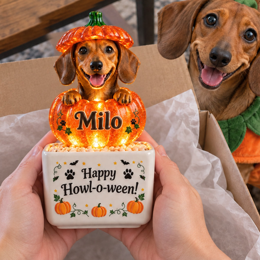 Niedliche Halloween-Dekoration für Haustiere - Personalisierte Hund LED Licht Keramiktopf
