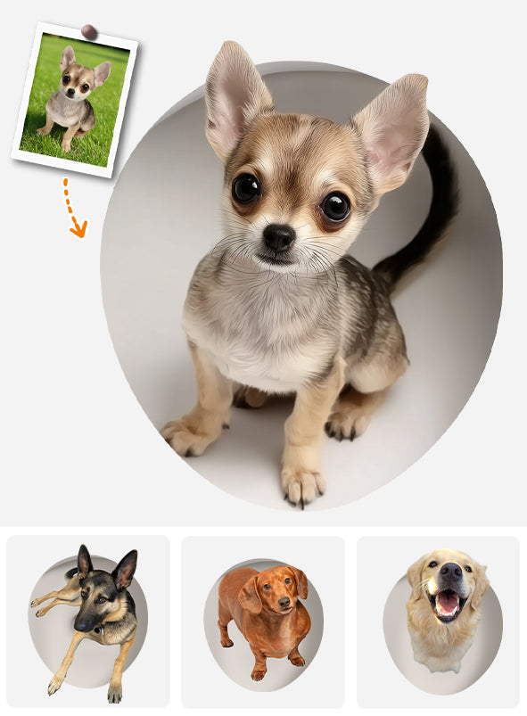 Your Dog Peeking Out Funny - Personalized Dog Decal Full