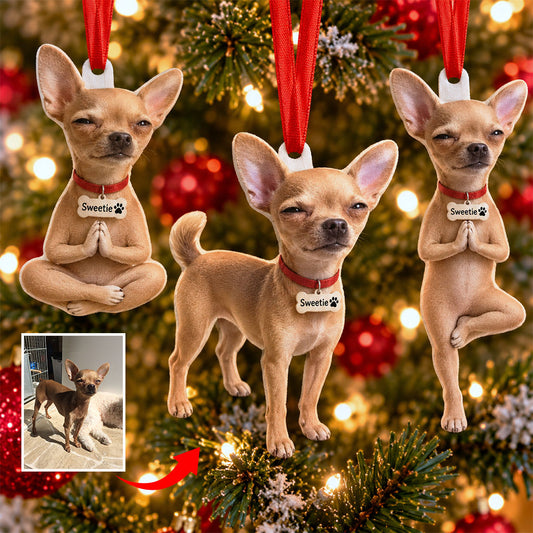 Lustiges Haustierfoto - Personalisierte Hundepose-Puppe