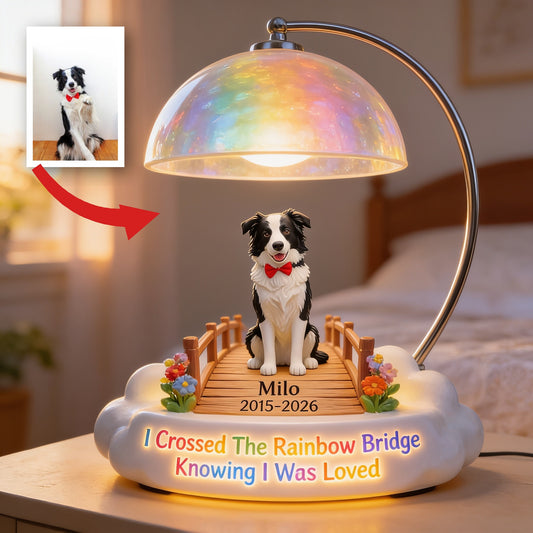 Ich habe die Regenbogenbrücke überquert - Personalisierte Schwarz-Weiß Border Collie Acryl LED Nachtlicht