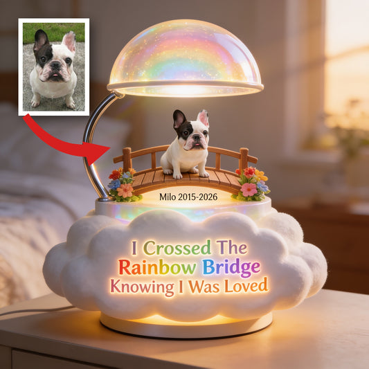 Ich habe die Regenbogenbrücke überquert - Personalisierte Französische Bulldogge Acryl LED Nachtlicht