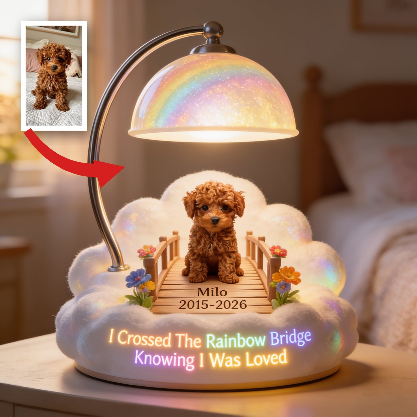 Ich habe die Regenbogenbrücke überquert - Personalisierte braune Toy Pudel Acryl LED Nachtlicht