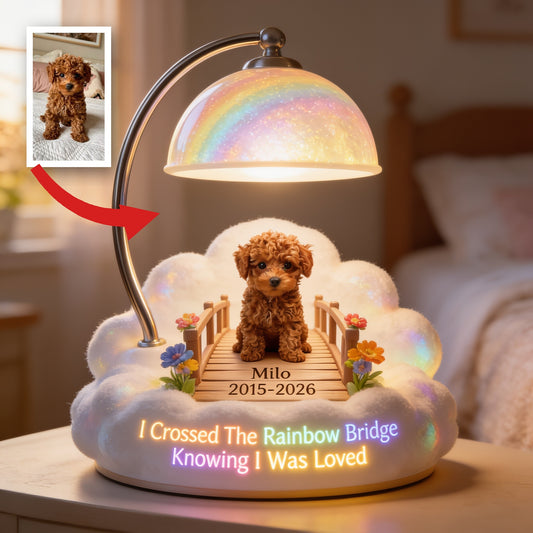 Ich habe die Regenbogenbrücke überquert - Personalisierte braune Toy Pudel Acryl LED Nachtlicht