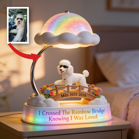 Personalisierte weiße flauschige Samojede Regenbogenbrücke Gedenk-Acryl-LED-Nachtlicht - Hundeverlust-Sympathiegeschenk