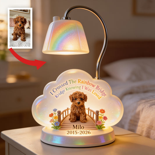 Personalisierte braune Pudel Rainbow Bridge Gedenk-Acryl-LED-Nachtlicht, Haustierverlust Andenken Geschenk