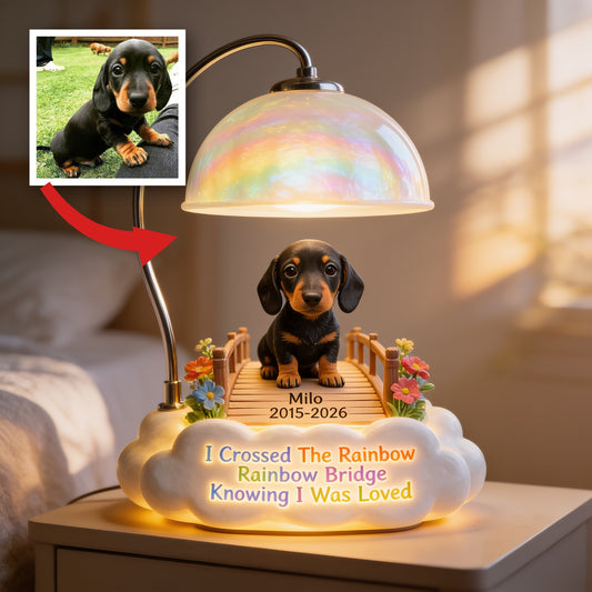 Personalisierte Schwarze & Braune Dackel Regenbogenbrücke Gedenk-Acryl-LED-Nachtlicht, Hundeverlust Erinnerungs-Geschenk