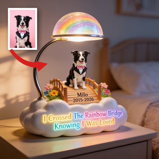 Personalisierte Regenbogenbrücke Border Collie Gedenk-Acryl-LED-Nachtlicht, individuelles Hundeverlust-Geschenk