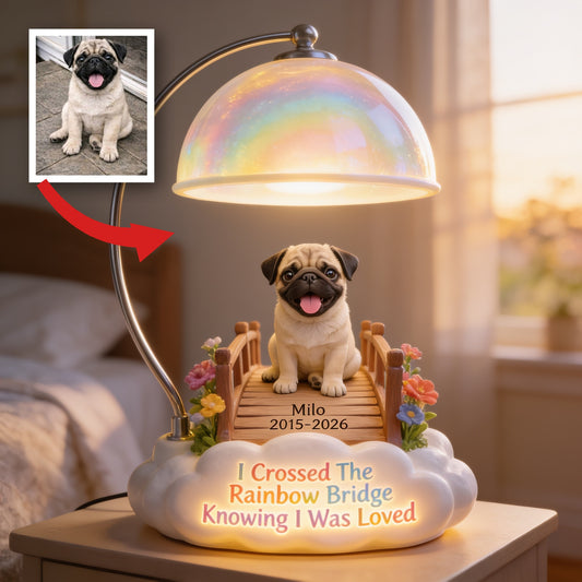 Personalisierte Fawn Pug Rainbow Bridge Gedenk-Acryl-LED-Nachtlicht, individuelles Haustierverlust-Geschenk für Hundebesitzer