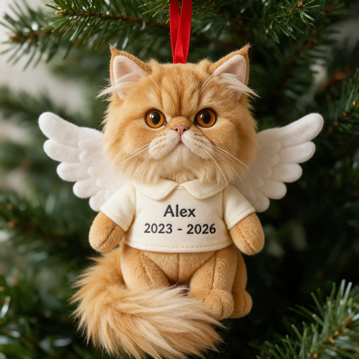 I'm Always With You Personalized Fluffy Maine Coon Cat Angel Memorial Plush Ornament Pet Loss Remembrance Gift
