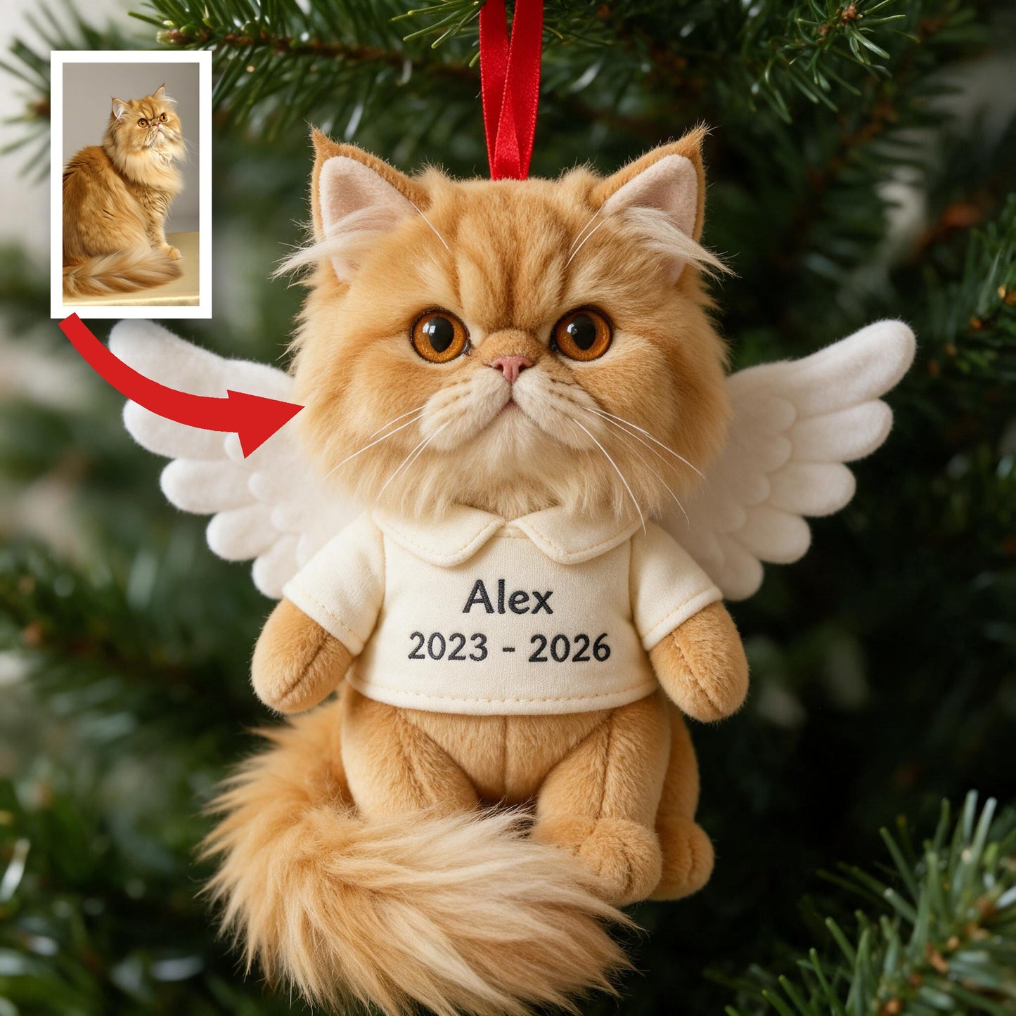 I'm Always With You Personalized Fluffy Maine Coon Cat Angel Memorial Plush Ornament Pet Loss Remembrance Gift