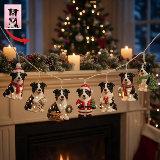 Personalisierte Foto-Weihnachtslichter mit Border Collie-Motiv