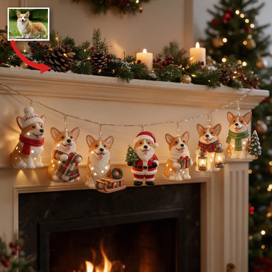 Personalisierte Foto-Weihnachtslichter mit Pembroke Welsh Corgi