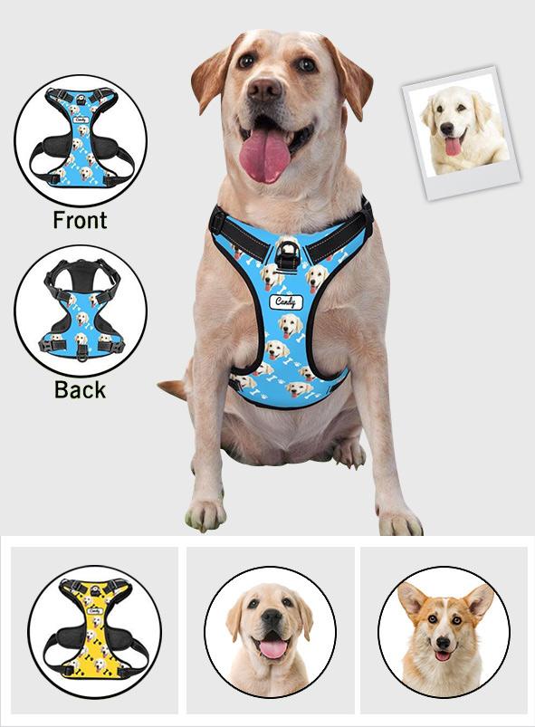 2,96E+22