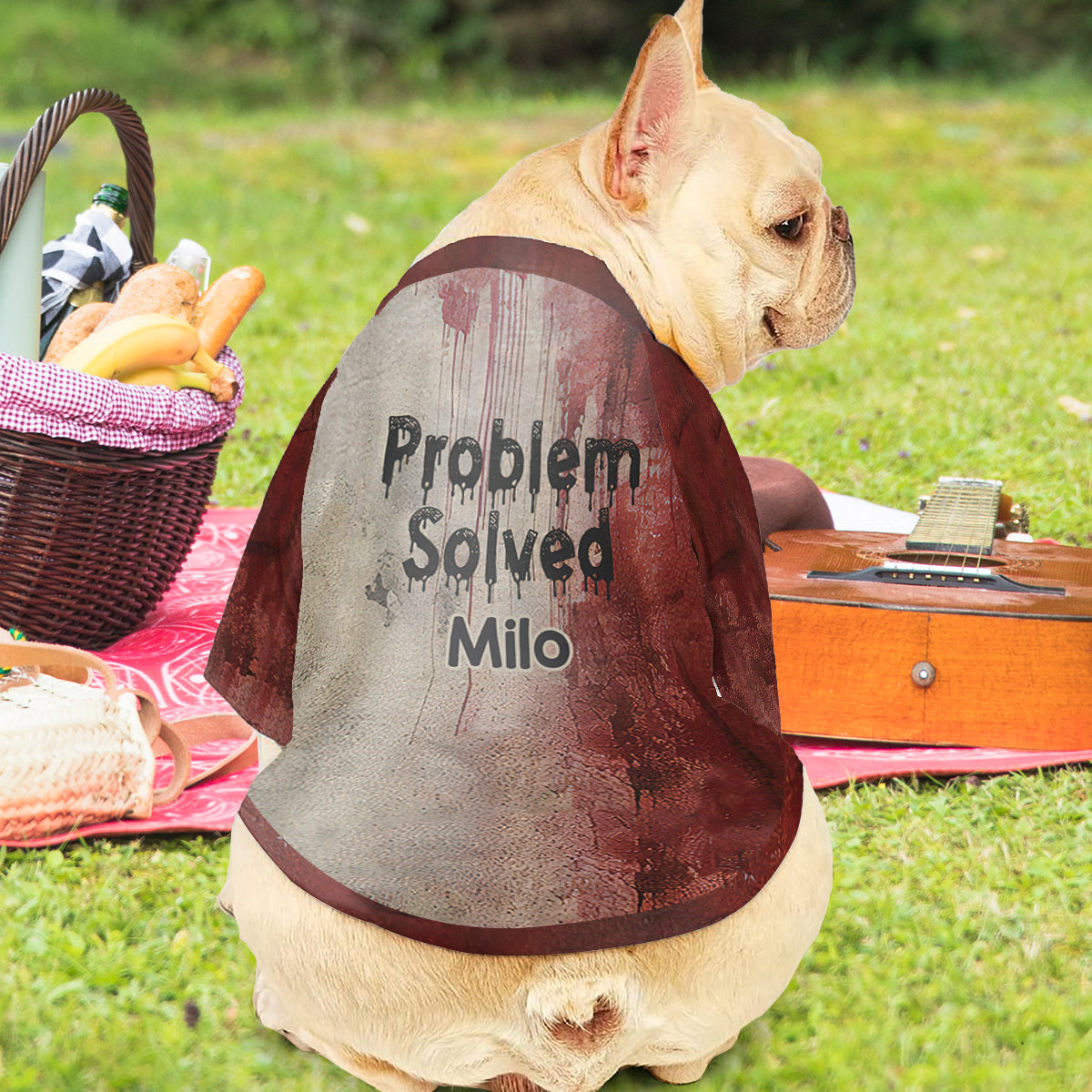 Problems Solved - Personalized Dog Pet Shirt