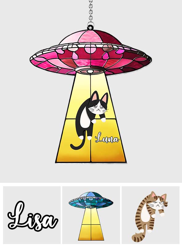UFO mit Katze – Personalisierter Katzen-Fensterhänger als Sonnenfänger 