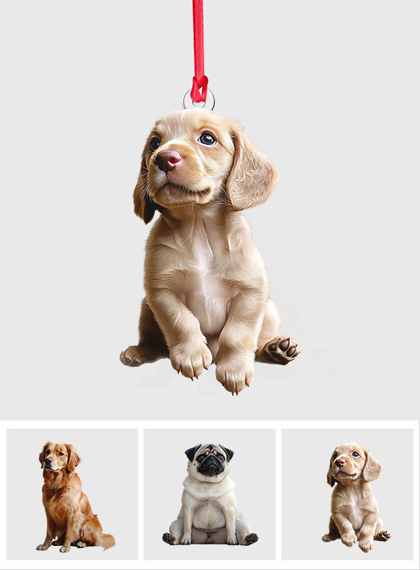 Individuell gestaltbarer Hunde-Ornament mit Foto – personalisierter Hunde-Ornament in individueller Form