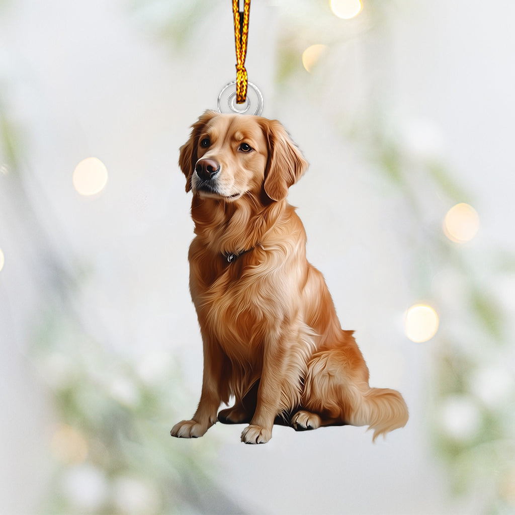 Individuell gestaltbarer Hunde-Ornament mit Foto – personalisierter Hunde-Ornament in individueller Form