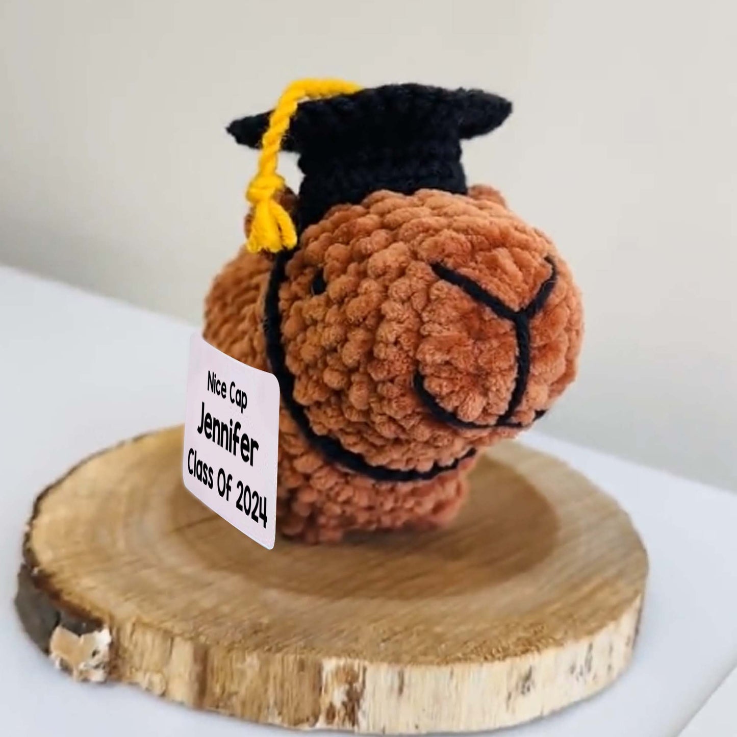 Hübsche Cap-Absolventen-Capybara - Personalisierte handgestrickte Abschlussfigur
