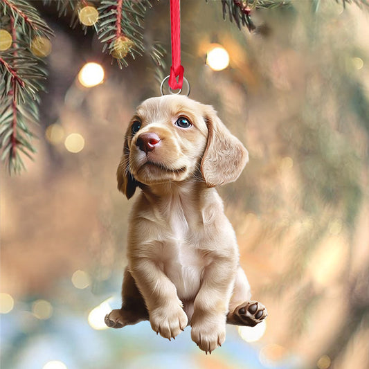 Individuell gestaltbarer Hunde-Ornament mit Foto – personalisierter Hunde-Ornament in individueller Form