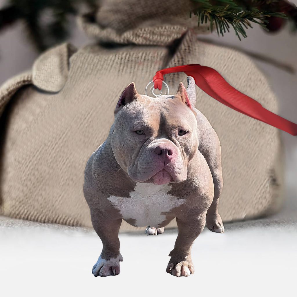 Beliebiger Foto-Anhänger – Personalisierter Hunde-Anhänger in individueller Form