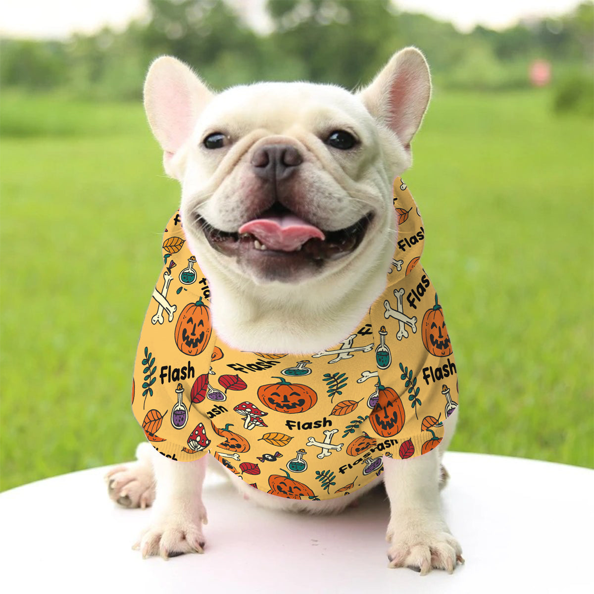 Niedlicher Geisterhund, Kürbisgeist & Fledermaus - Personalisierter Hunde-Hoodie