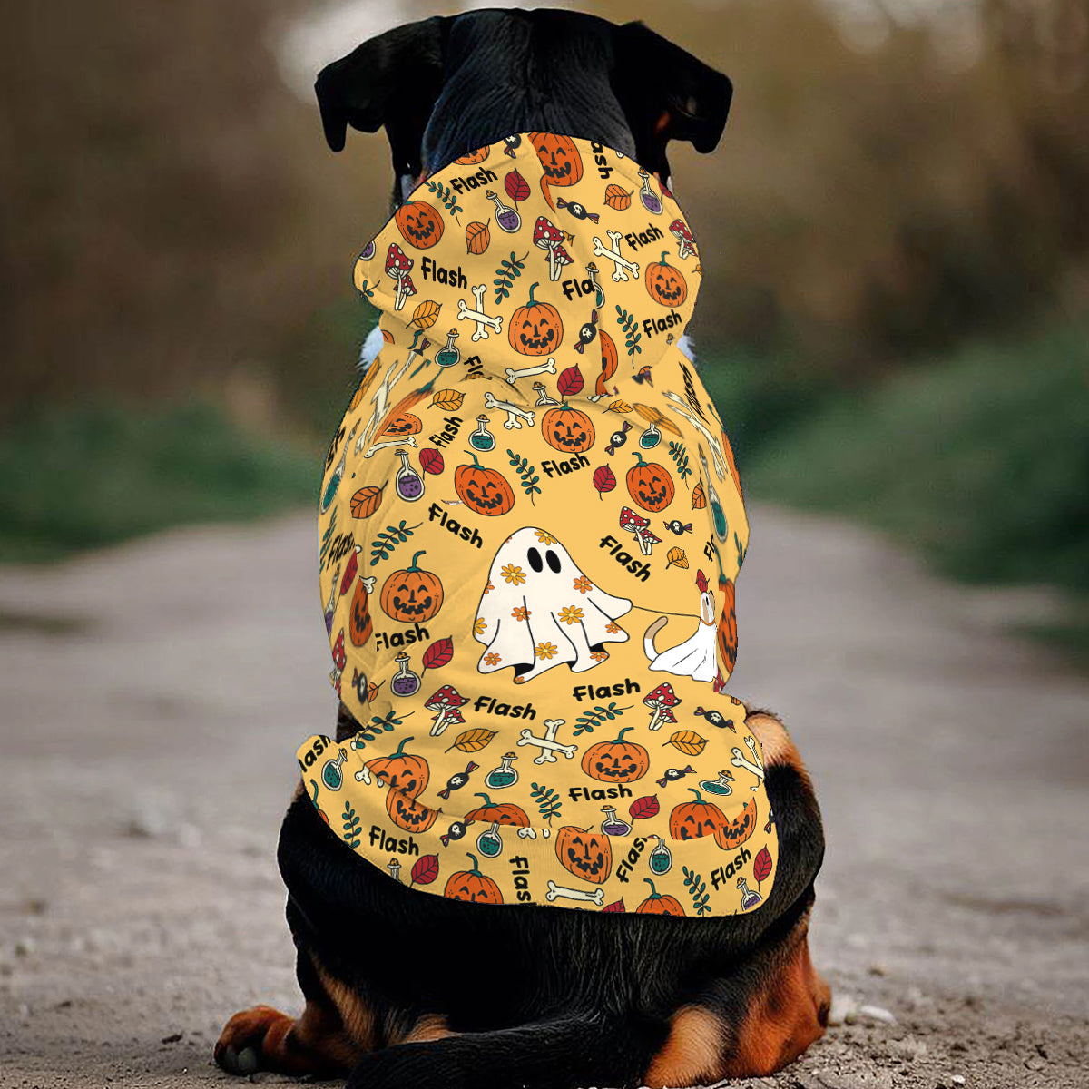 Niedlicher Geisterhund, Kürbisgeist & Fledermaus - Personalisierter Hunde-Hoodie