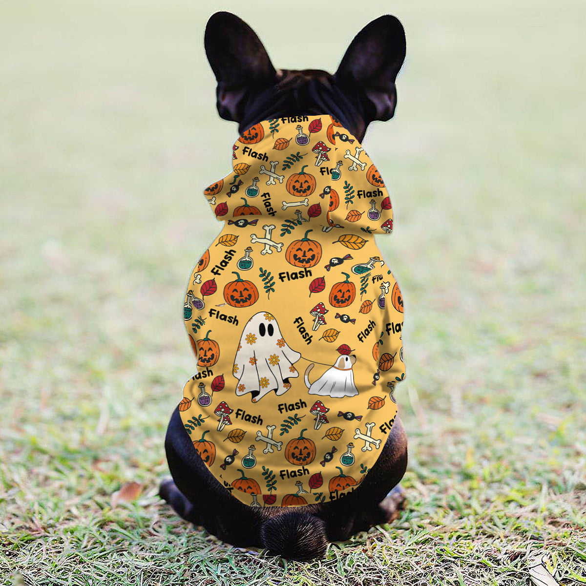 Niedlicher Geisterhund, Kürbisgeist & Fledermaus - Personalisierter Hunde-Hoodie