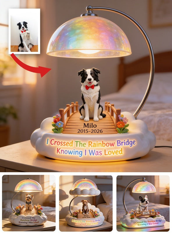 Ich habe die Regenbogenbrücke überquert - Personalisierte Schwarz-Weiß Border Collie Acryl LED Nachtlicht