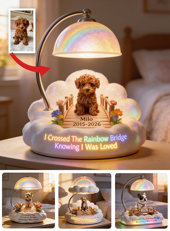 Ich habe die Regenbogenbrücke überquert - Personalisierte braune Toy Pudel Acryl LED Nachtlicht