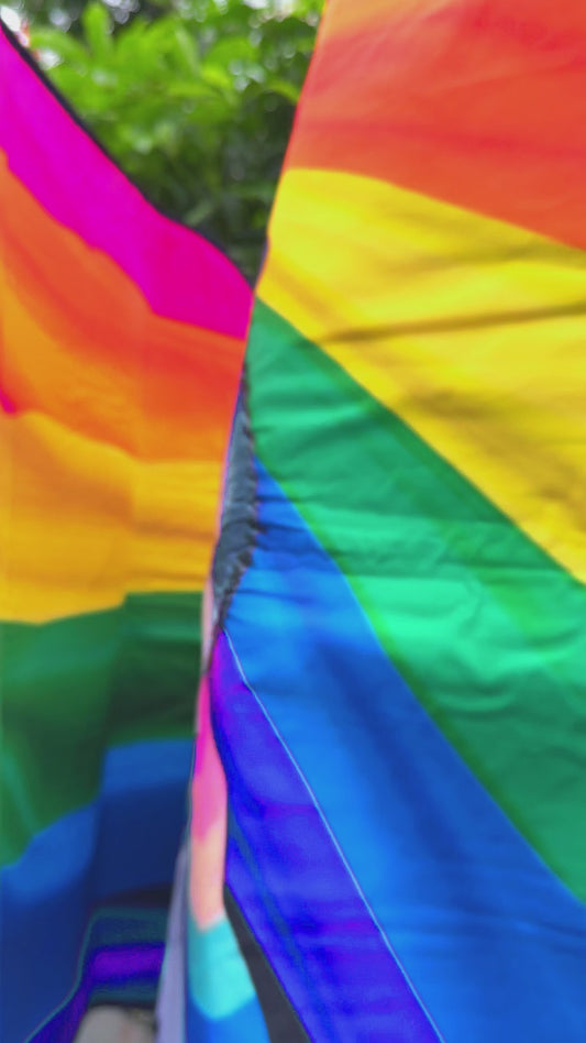 Pride Cat - Personalized Cat Car Sunshade