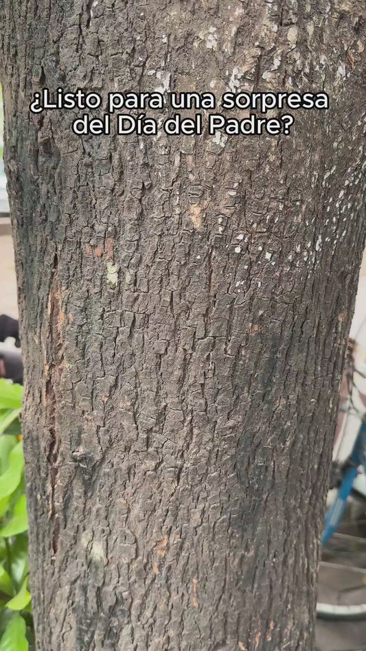 Este Papá Pertenece A – Personalisierter Vaterbecher