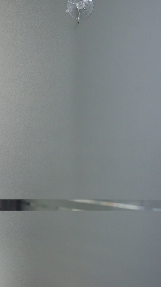 Funny Horses - Horse Wall Calendar