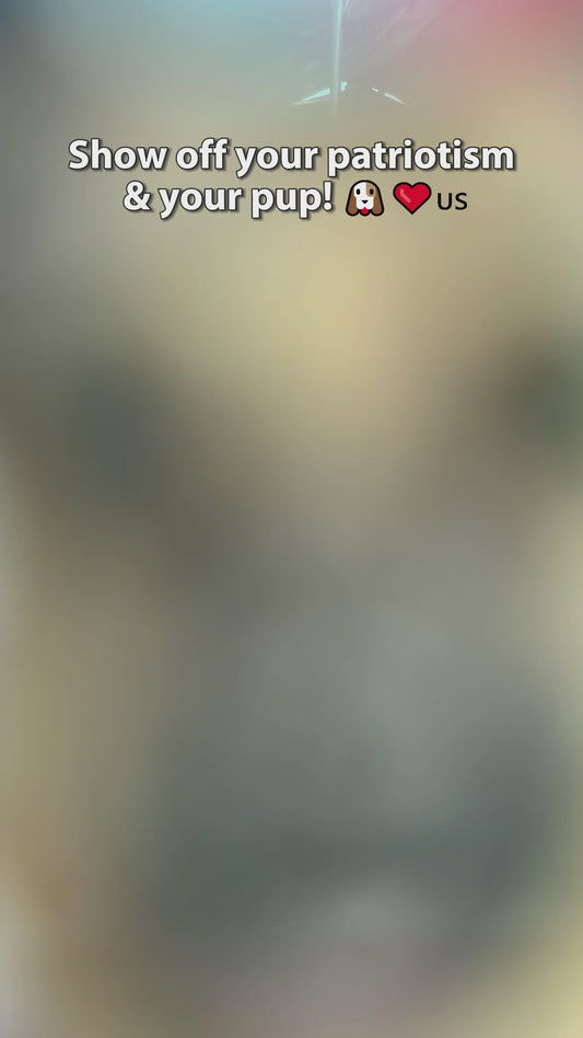 Puppy Flag - Personalized Dog Transparent Car Ornament