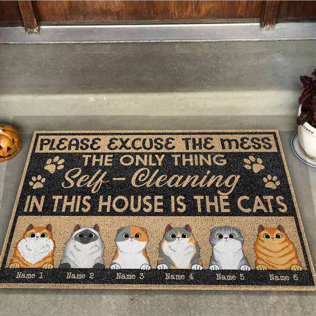 Please Excuse The Mess - Personalized Cat Doormat