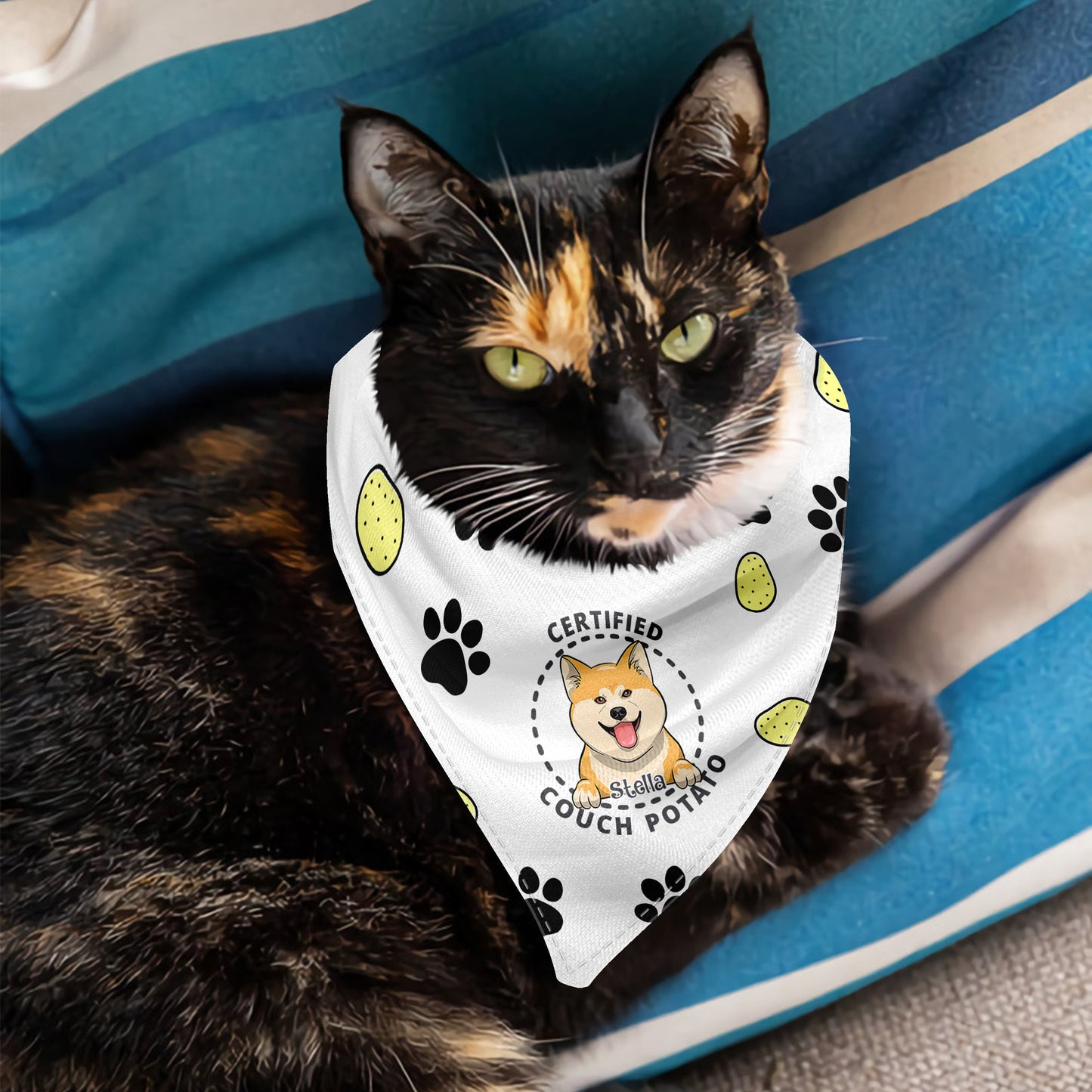 Zertifizierter Couchpotato – Personalisiertes Hundehalstuch